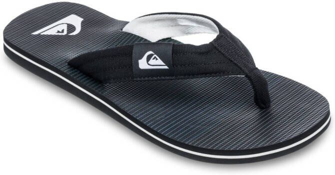 Quiksilver Molokai Layback II Sandalen blauw