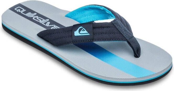Quiksilver Molokai Layback II Sandalen grijs