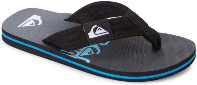 Quiksilver Teenslippers MOLOKAI LAYBACK YOUTH