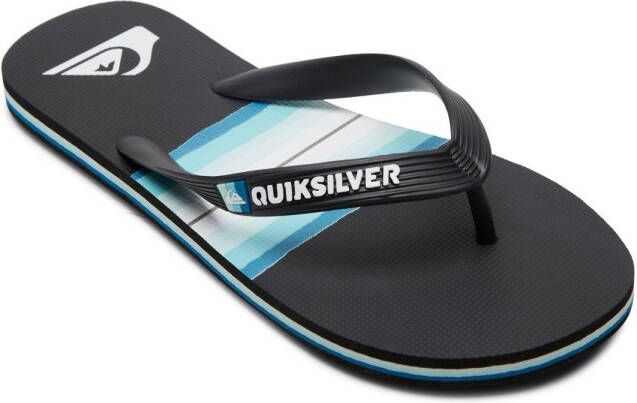 Quiksilver Teenslippers MOLOKAI RESIN TINT YOUTH