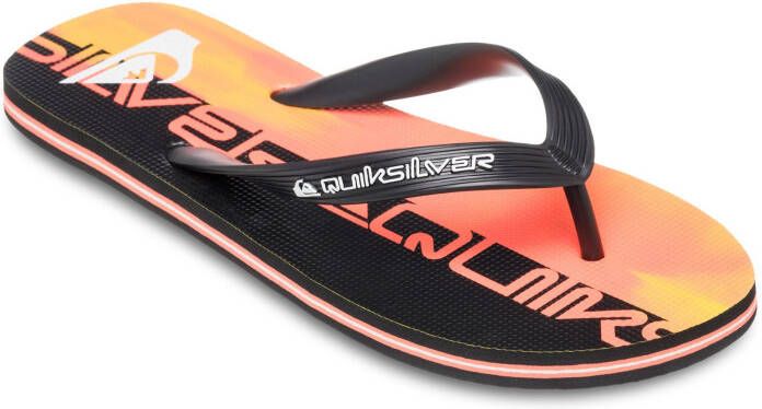 Quiksilver Teenslippers Molokai Art 25