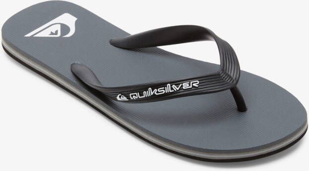 Quiksilver Teenslippers Molokai Core