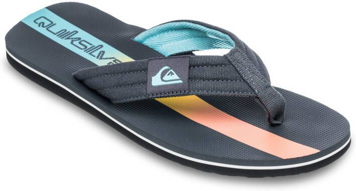 Quiksilver Molokai Layback II Sandalen blauw