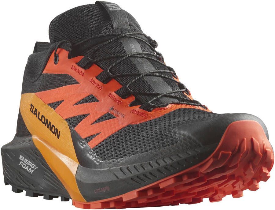 Salomon Sense Ride 5 GTX Trailrunningschoenen grijs