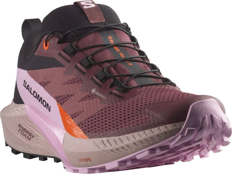 Salomon Women's Sense Ride 5 GTX Trailrunningschoenen meerkleurig