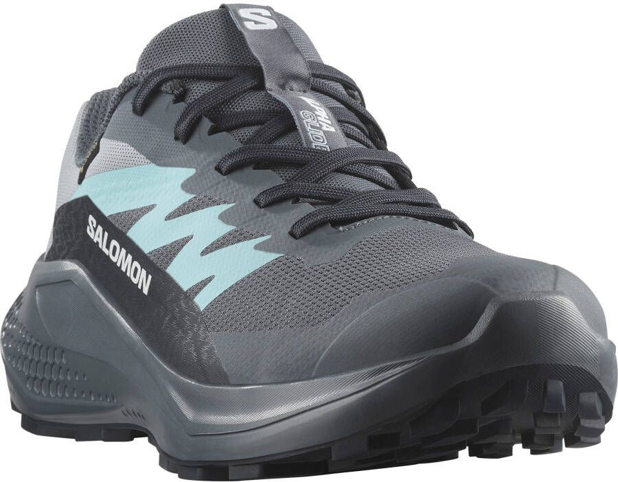 Salomon Trailrunningschoenen ALPHAGLIDE GTX W