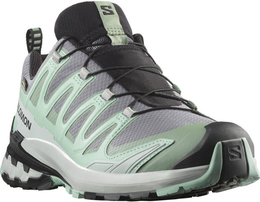 Salomon Women's XA Pro 3D V9 GTX Multisportschoenen grijs - Foto 2