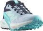 Salomon Women's Sense Ride 5 Trailrunningschoenen grijs - Thumbnail 2