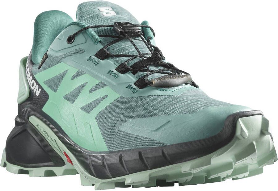 Salomon Trailrunningschoenen SUPERCROSS 4 Gore-Tex