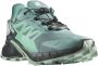 Salomon Supercross 4 Goretex Trailrunningschoenen Groen 2 3 Vrouw - Thumbnail 2