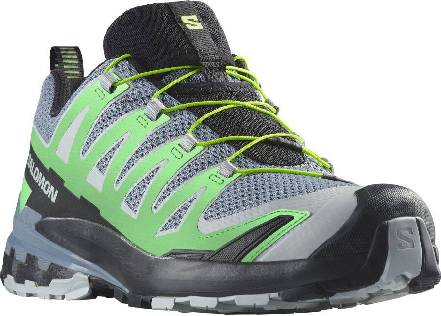 Salomon XA Pro 3D V9 Multisportschoenen grijs