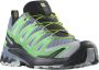 Salomon XA Pro 3D V9 Multisportschoenen grijs - Thumbnail 1