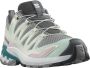 Salomon Xa Pro 3d V9 Trailrunningschoenen Grijs 2 3 Vrouw - Thumbnail 2