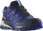 Salomon XA Pro 3D V9 GTX Wandelsneakers heren Blauw 42+ - Thumbnail 2