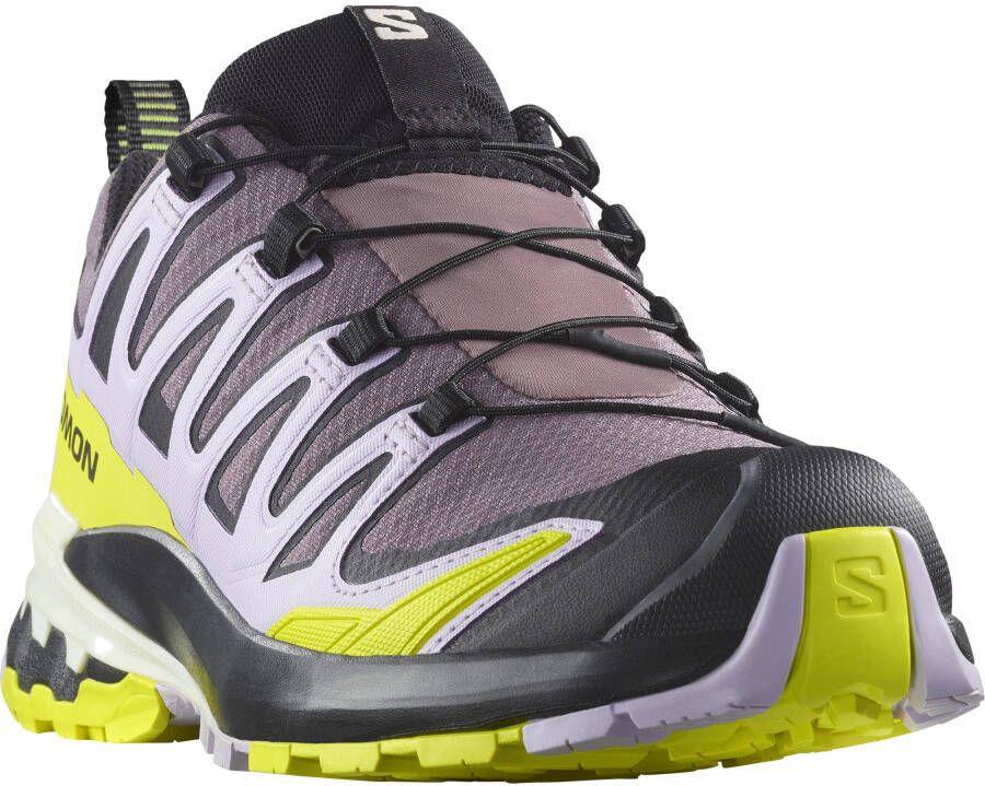 Salomon Trailrunningschoenen XA PRO 3D V9 GORE-TEX