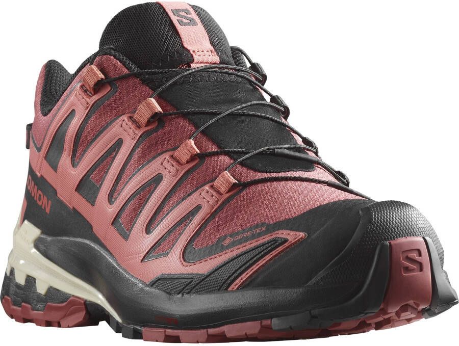 Salomon Women's XA Pro 3D V9 GTX Multisportschoenen bruin