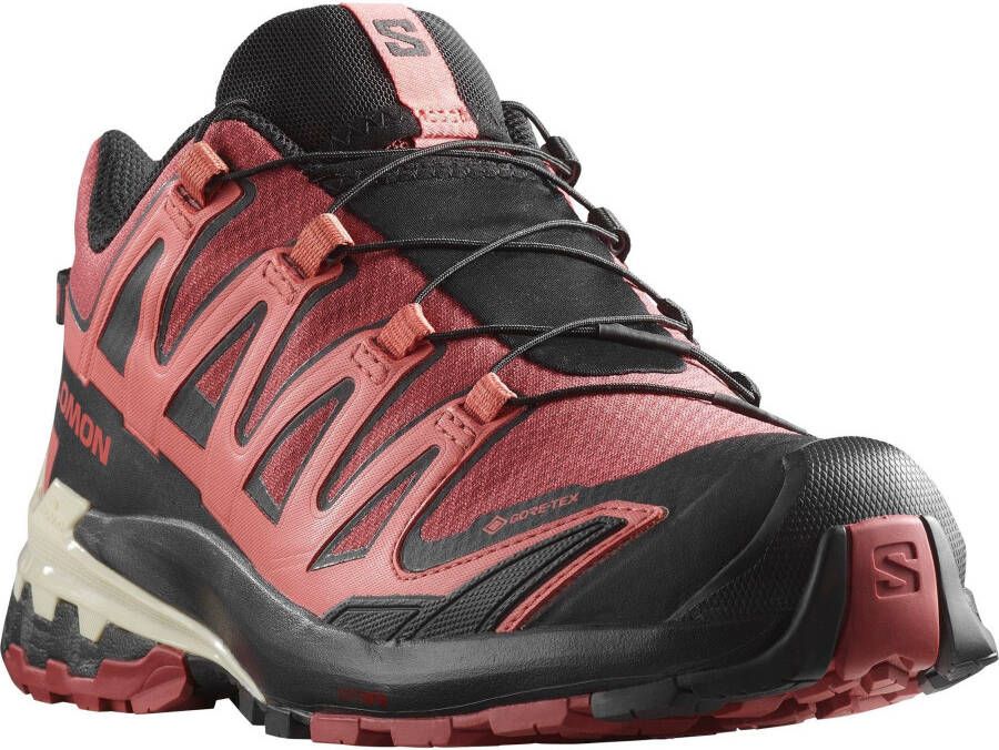 Salomon Women's XA Pro 3D V9 GTX Multisportschoenen bruin - Foto 1