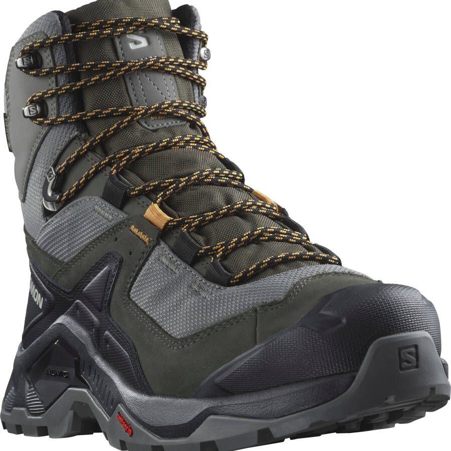 Salomon Quest Element GTX Wandelschoenen grijs