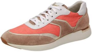 Sioux Sneakers laag ' Malosika-707 '