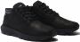 Timberland Windsor Park Chukka GTX Herenschoen Black Heren - Thumbnail 1