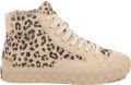 Palladium Sneakers Palla ace chukka sde - Beige