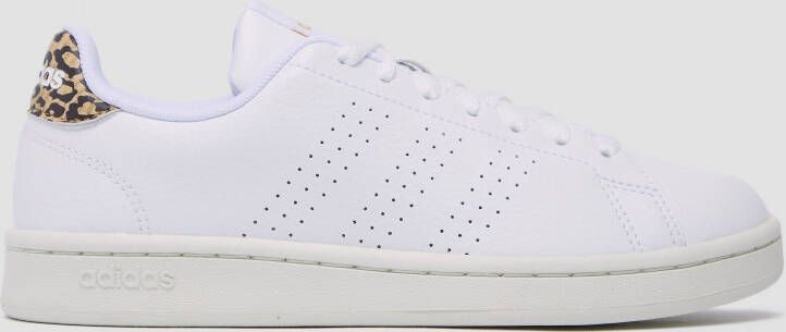 Adidas advantage animal sneakers wit dames