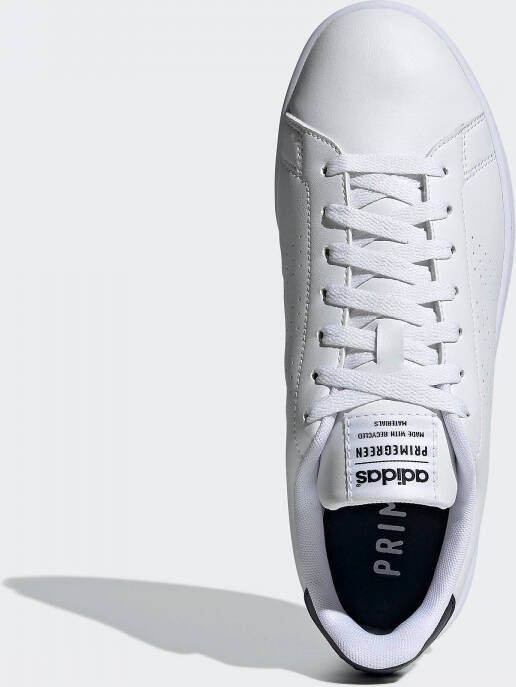Adidas advantage tennisschoenen wit heren
