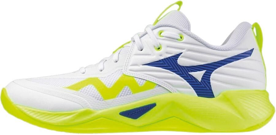 Mizuno Wave Momentum Pro Indoorschoenen Heren