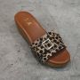 Red-Rag Dames Slippers 79608-059 Leopard Multi - Thumbnail 4