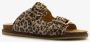 Harper leren dames slippers met panterprint Bruin Echt leer - Thumbnail 6