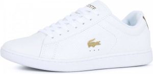 Lacoste Carnaby Evo 0120 1 SFA Dames Sneakers White