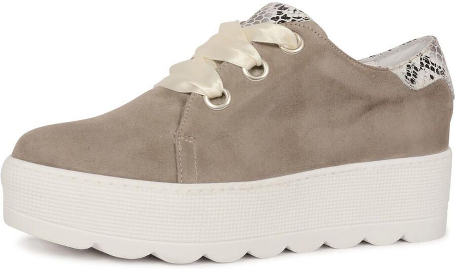Roberto D'angelo Dames Lage Sneakers 605 Taupe - Foto 2
