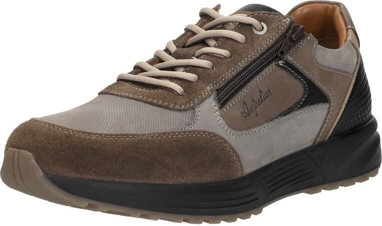 Australian Hawker grey taupe black multi bruin
