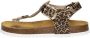 Develab 48192 359 Fantasy sandalen Bruin Dames - Thumbnail 4