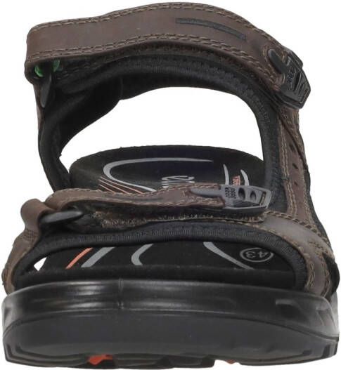 ECCO Offroad