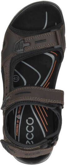 ECCO Offroad