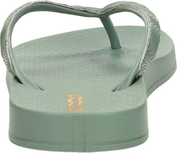 Ipanema Anatomic Mesh
