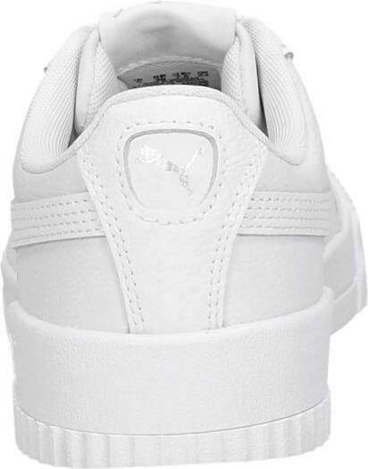 Puma Carina L