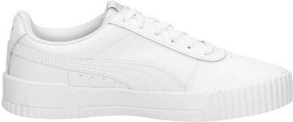 Puma Carina L