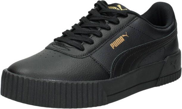 Puma Carina L