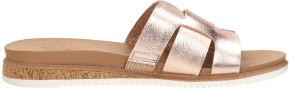 Skechers Bobs Desert Kiss Low Peak Look