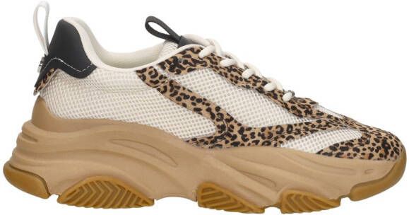 Steve Madden Possesion-e