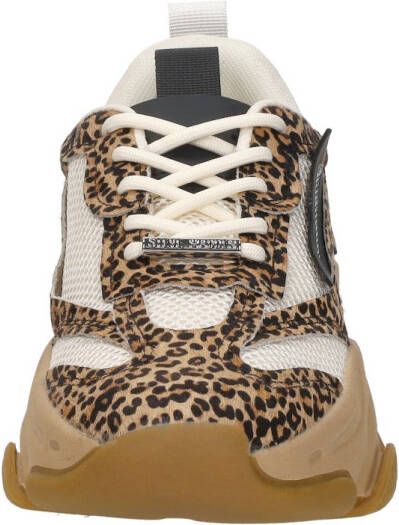 Steve Madden Possesion-e
