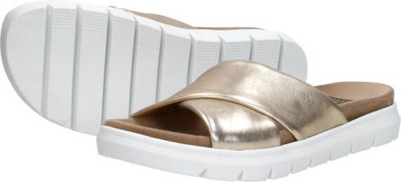 Sub55 Comfort Collection Abby 14
