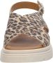 Tamaris Leopard Sandalen bruin Leer Dames - Thumbnail 12