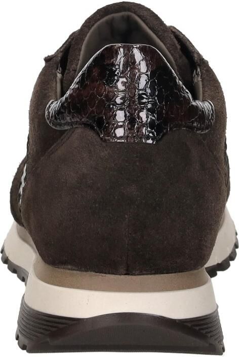 Gabor art. 6029.02 002 bruine sneaker dames - Foto 11