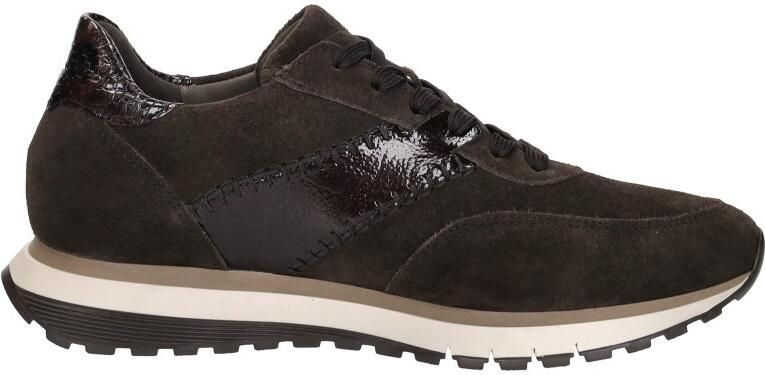 Gabor art. 6029.02 002 bruine sneaker dames