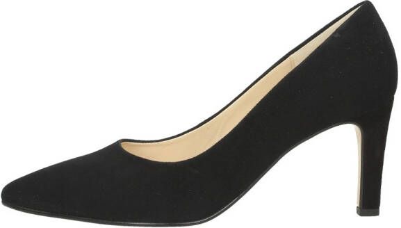 Gabor Pumps