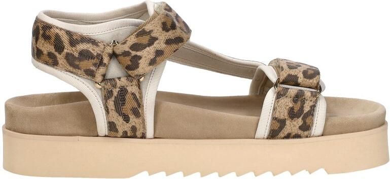 Maruti BEAU sandalen luipaardprint Textiel Dames - Foto 10