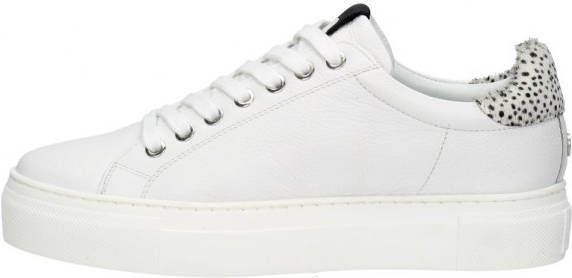 Maruti Ted Lage sneakers Leren Sneaker Dames Wit - Foto 6